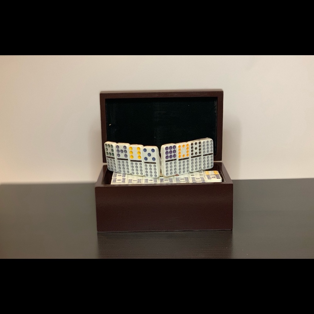 Dominos Case - Picture 6 of 6